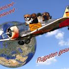 Flugpaten gesucht!