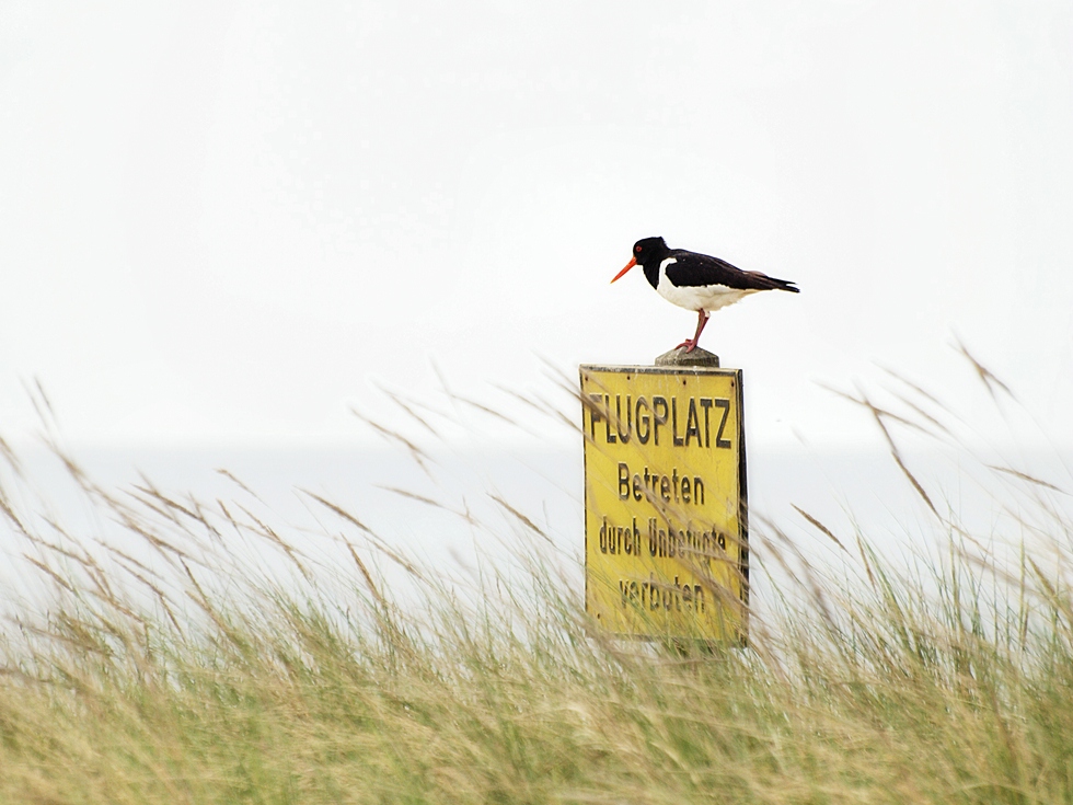 Flugplatz...