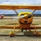 Flugplatz am Kornfeld