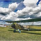 Flugplatz Bienenfarm August 2021