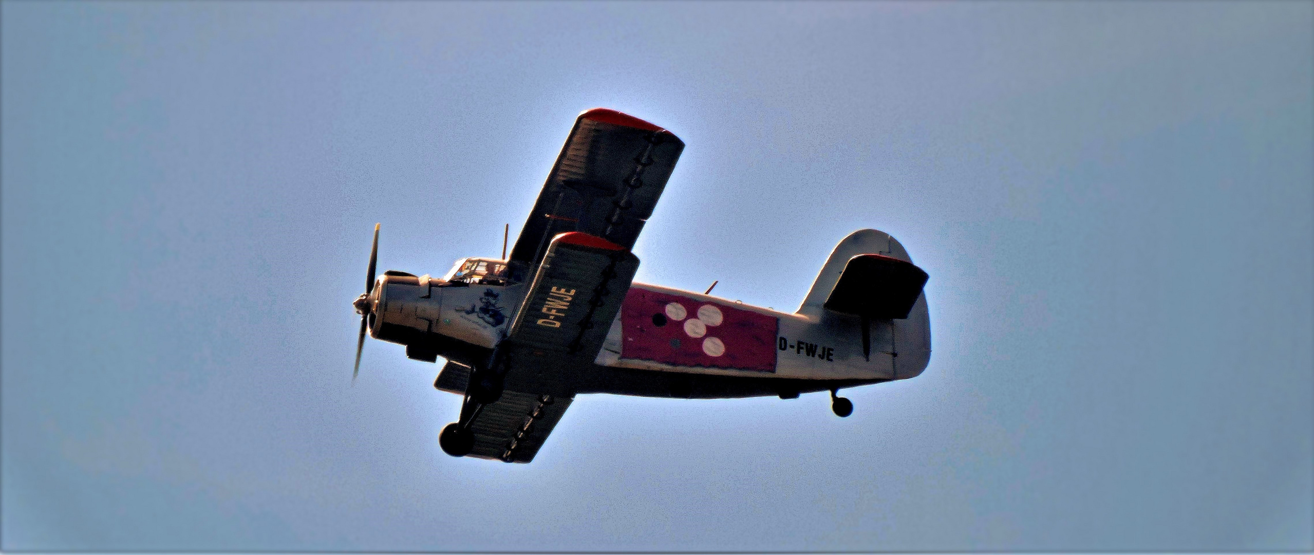 Flugplatzfest anläßlich des 50 Jährigen Bestehen der Northeimer Luftsportvereinigung (4)