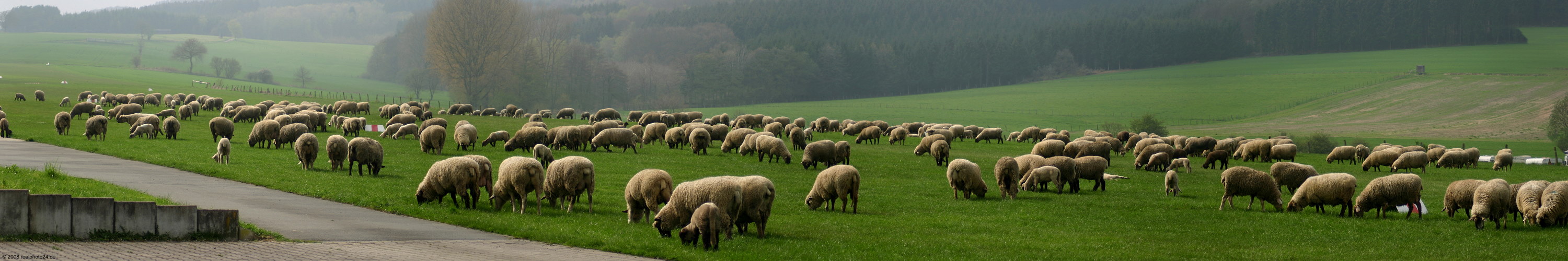 Flugplatzmäher