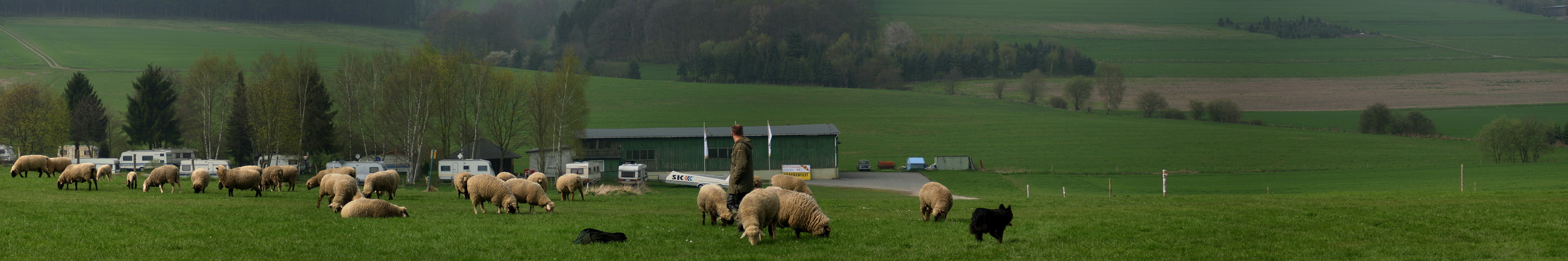 Flugplatzmäher II