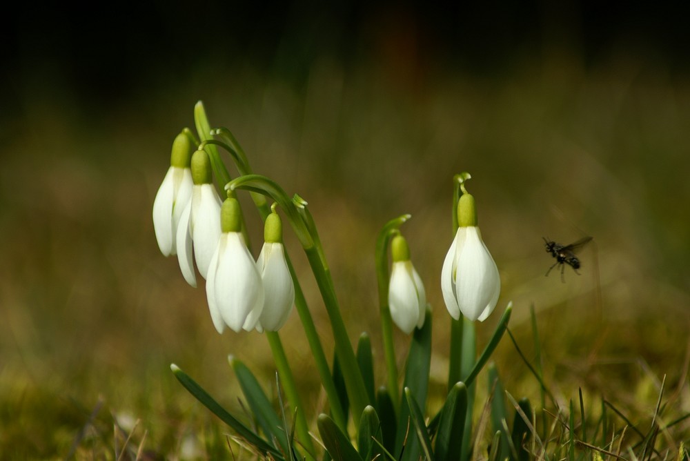 Flugsaison ist eröffnet