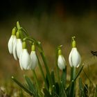 Flugsaison ist eröffnet