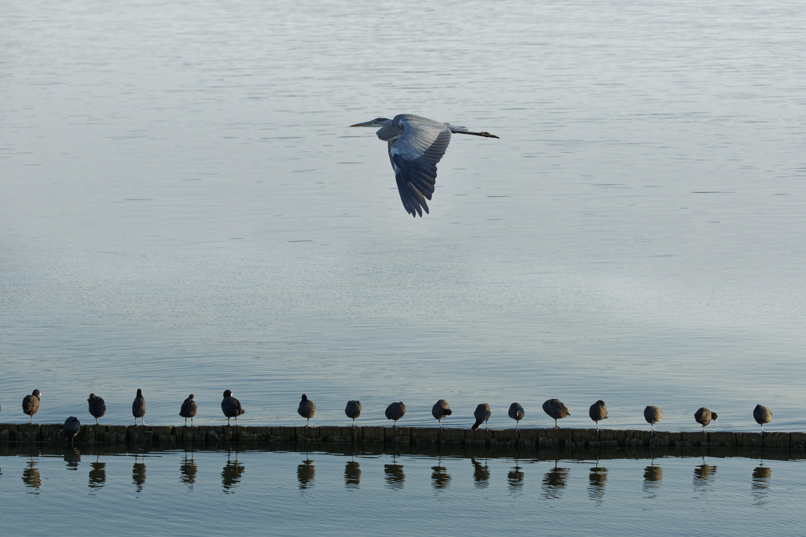 Flugschau!