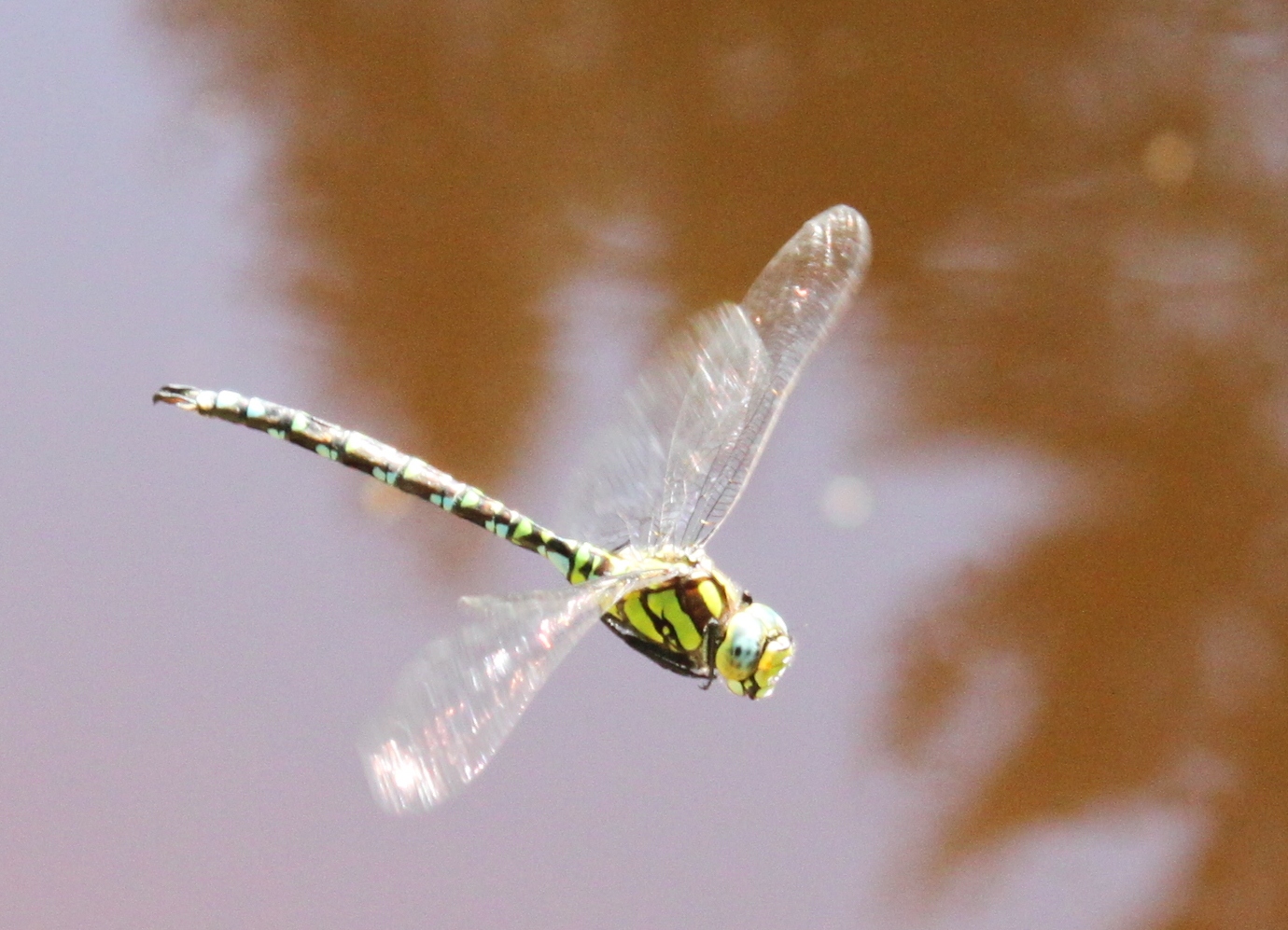 Flugschau 2