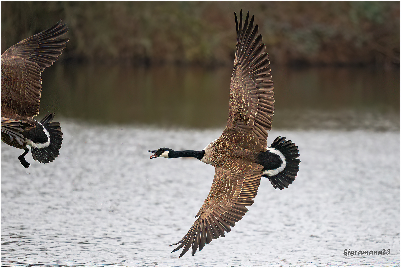 flugschau....