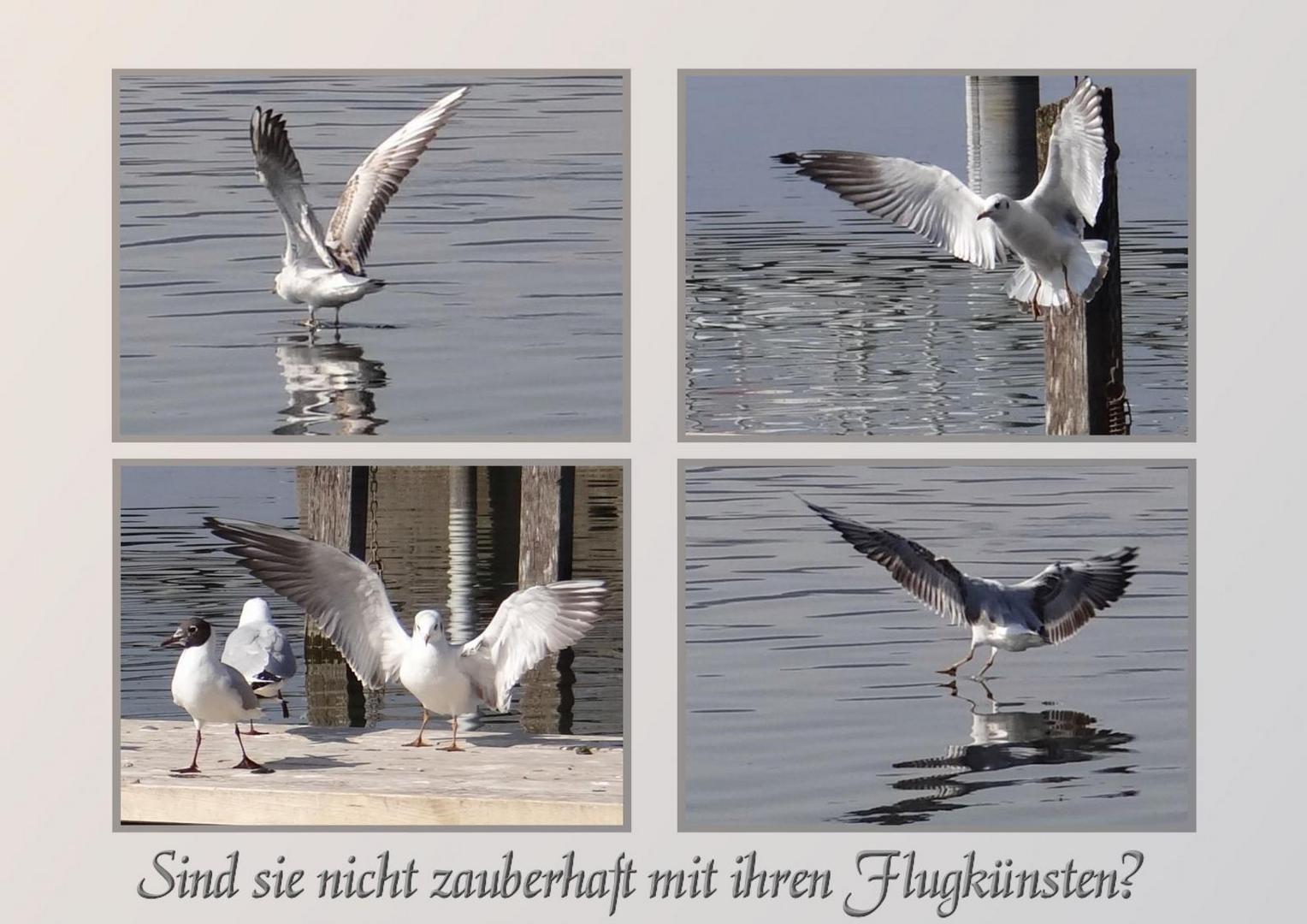 Flugschau