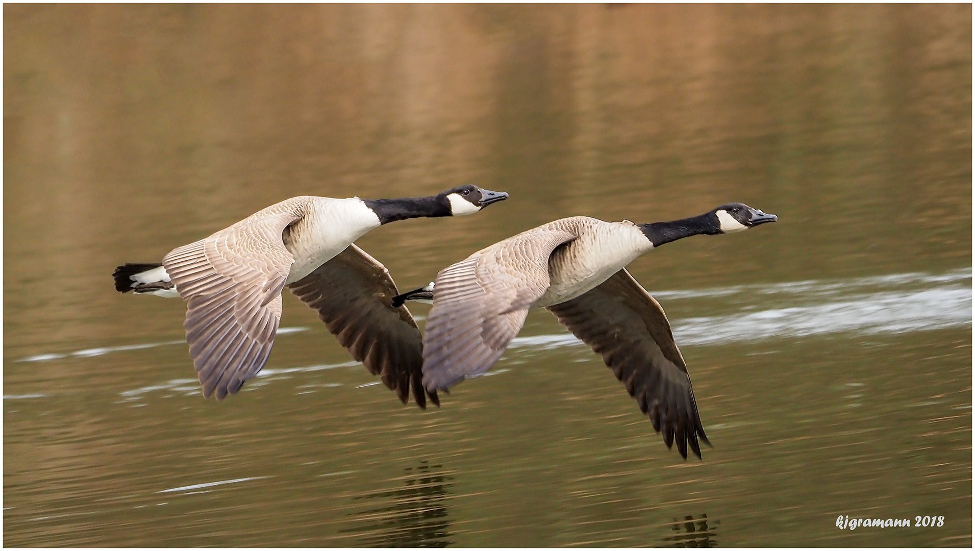 flugschau.....