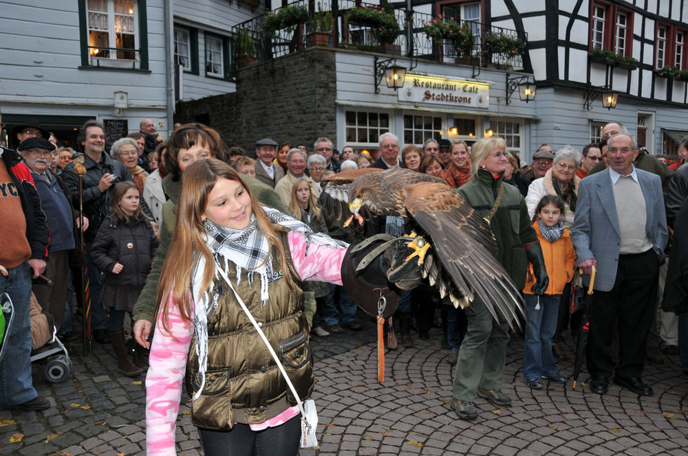 Flugschau beim Halali Monschau 09.11.08