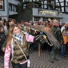 Flugschau beim Halali Monschau 09.11.08