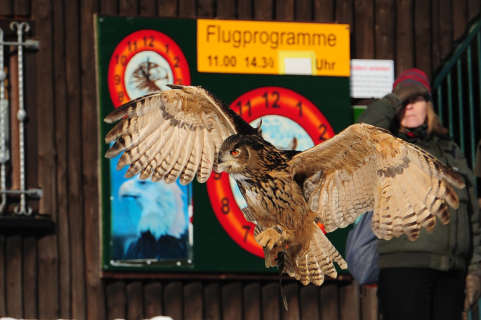 Flugschau Wildfreigehege Hellenthal ( 03 )