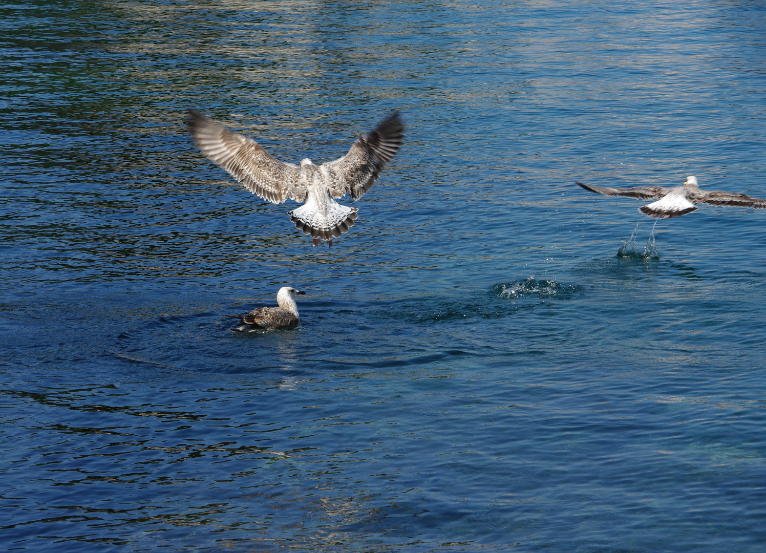 Flugschule