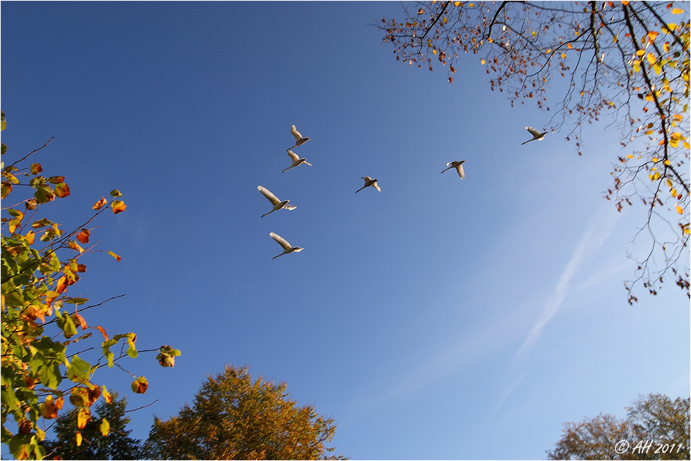 Flugschule bei...