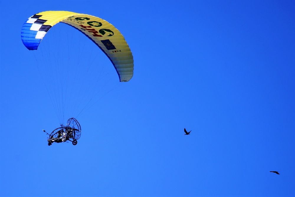 Flugschule für Graugänse - Im Namen der Natur