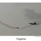 Flugshow 1