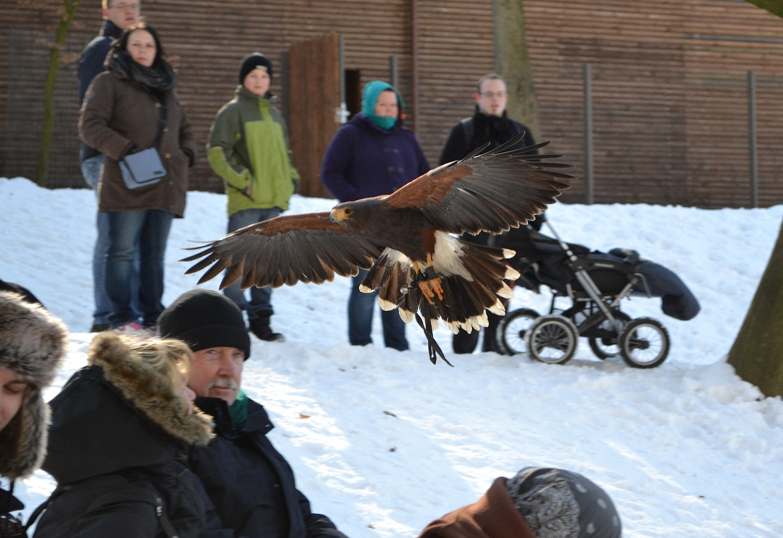 Flugshow