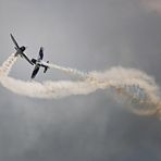 Flugshow 6