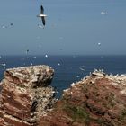 Flugshow am roten Felsen