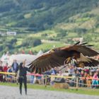 Flugshow am Südtiroler Ritter Turnier