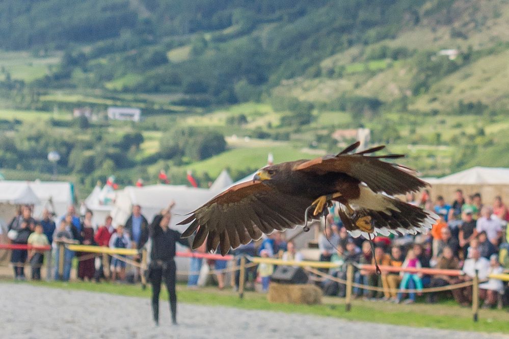 Flugshow am Südtiroler Ritter Turnier