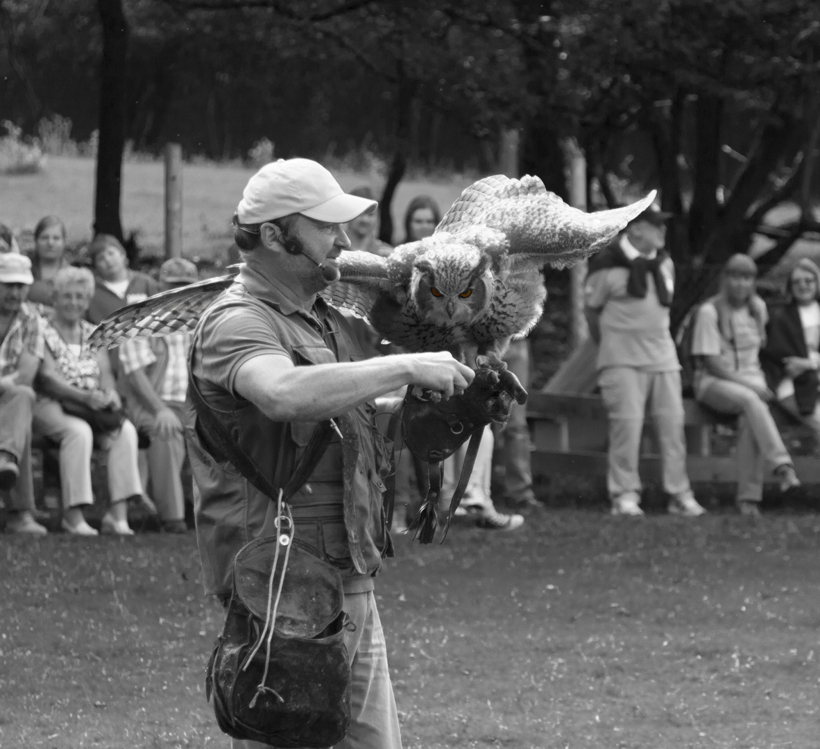 Flugshow Hundshaupten Fränkische Schweiz Teil 4