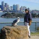 Flugshow im Taronga Zoo, Sydney