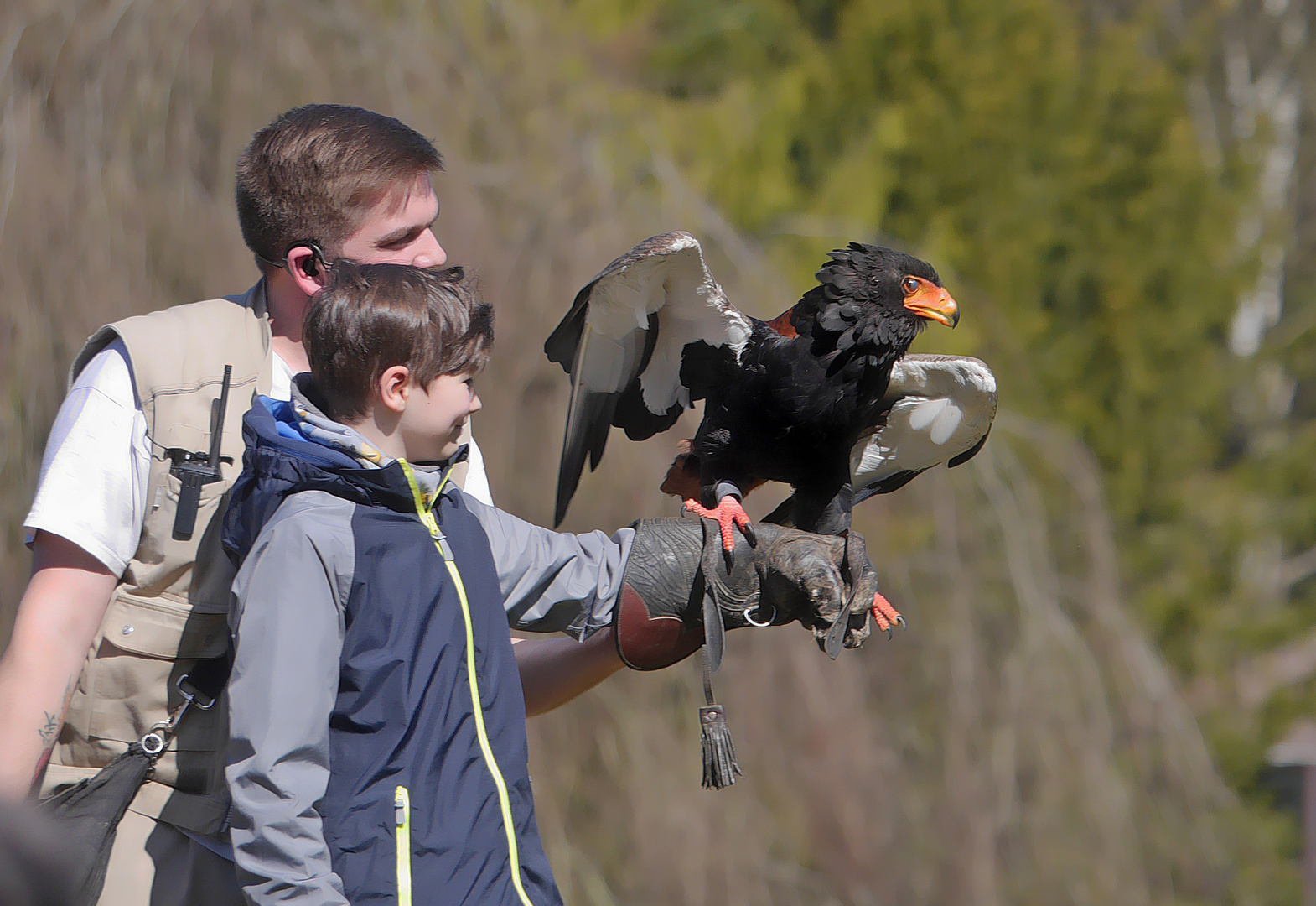 Flugshow im Weltvogelpark Walsrode