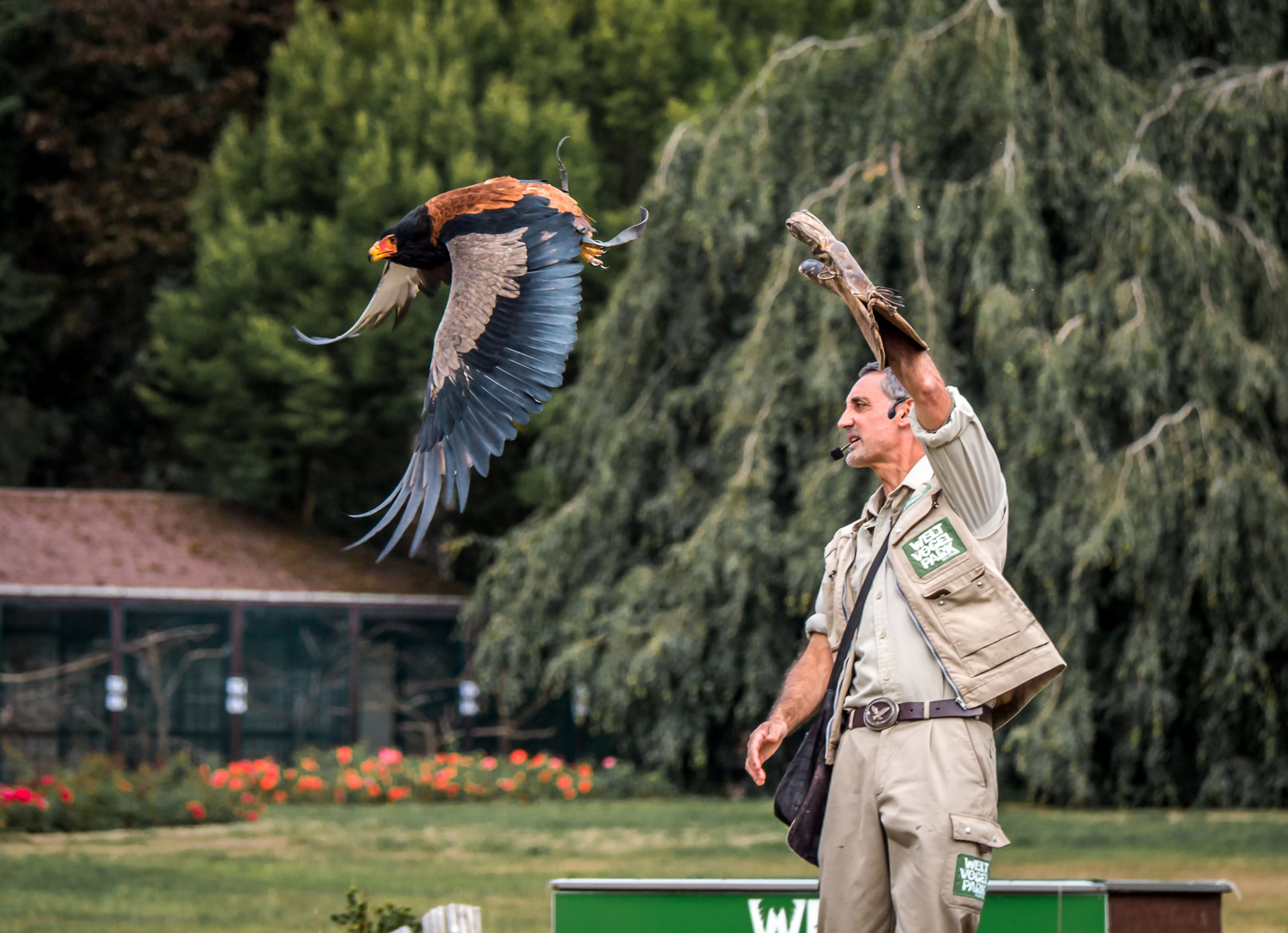 Flugshow im Weltvogelpark Walsrode