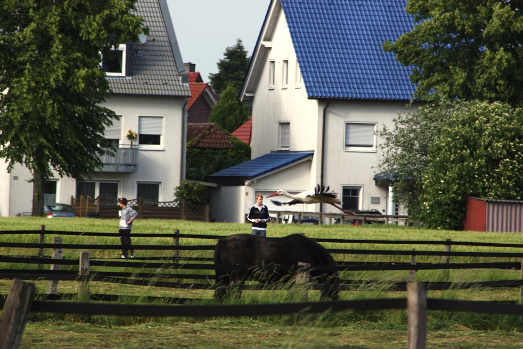 Flugshow in Olfen