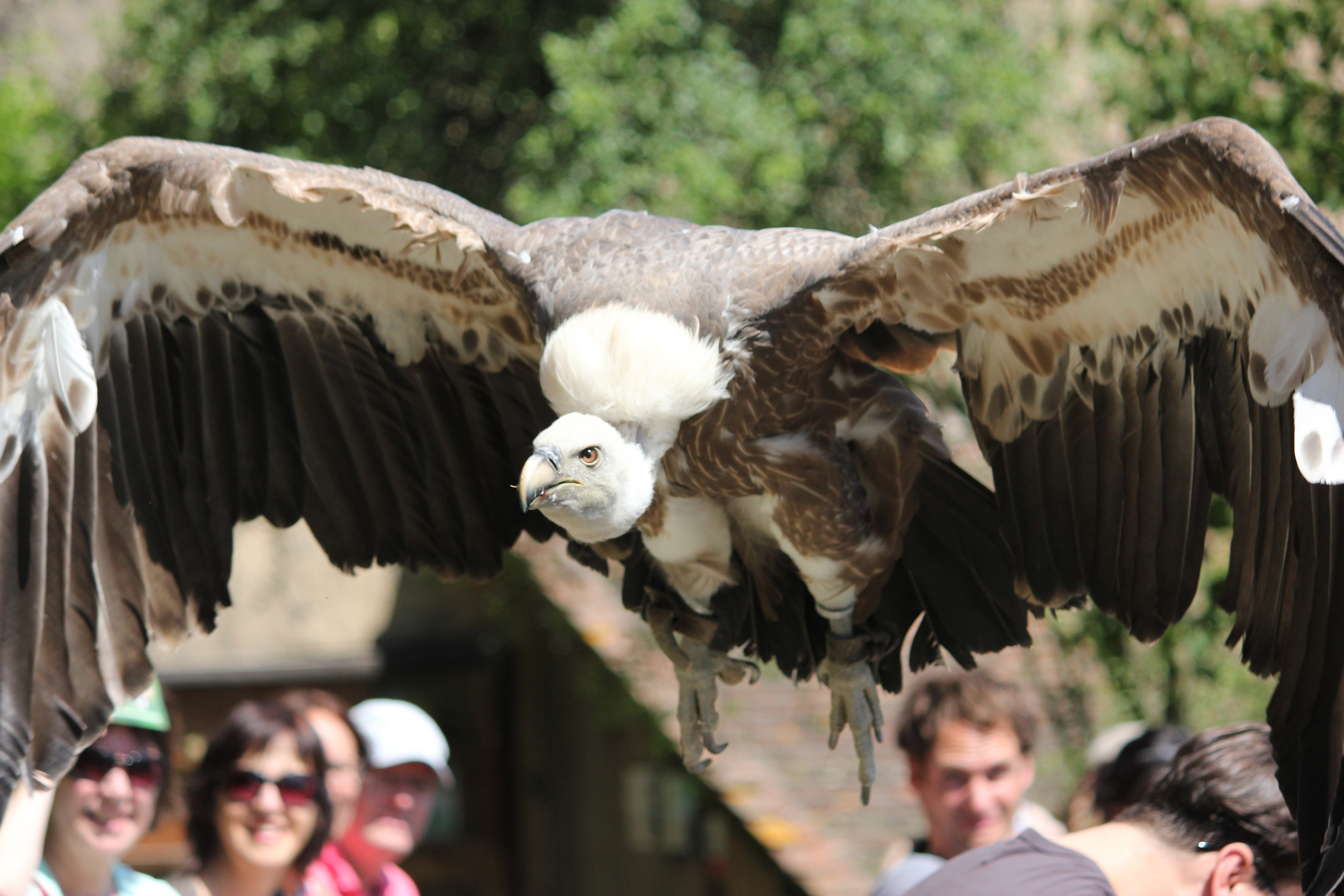 Flugshow Ronneburg 2