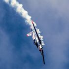 Flugshow Sinsheim 2014