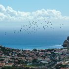 Flugshow über Machico, Madeira
