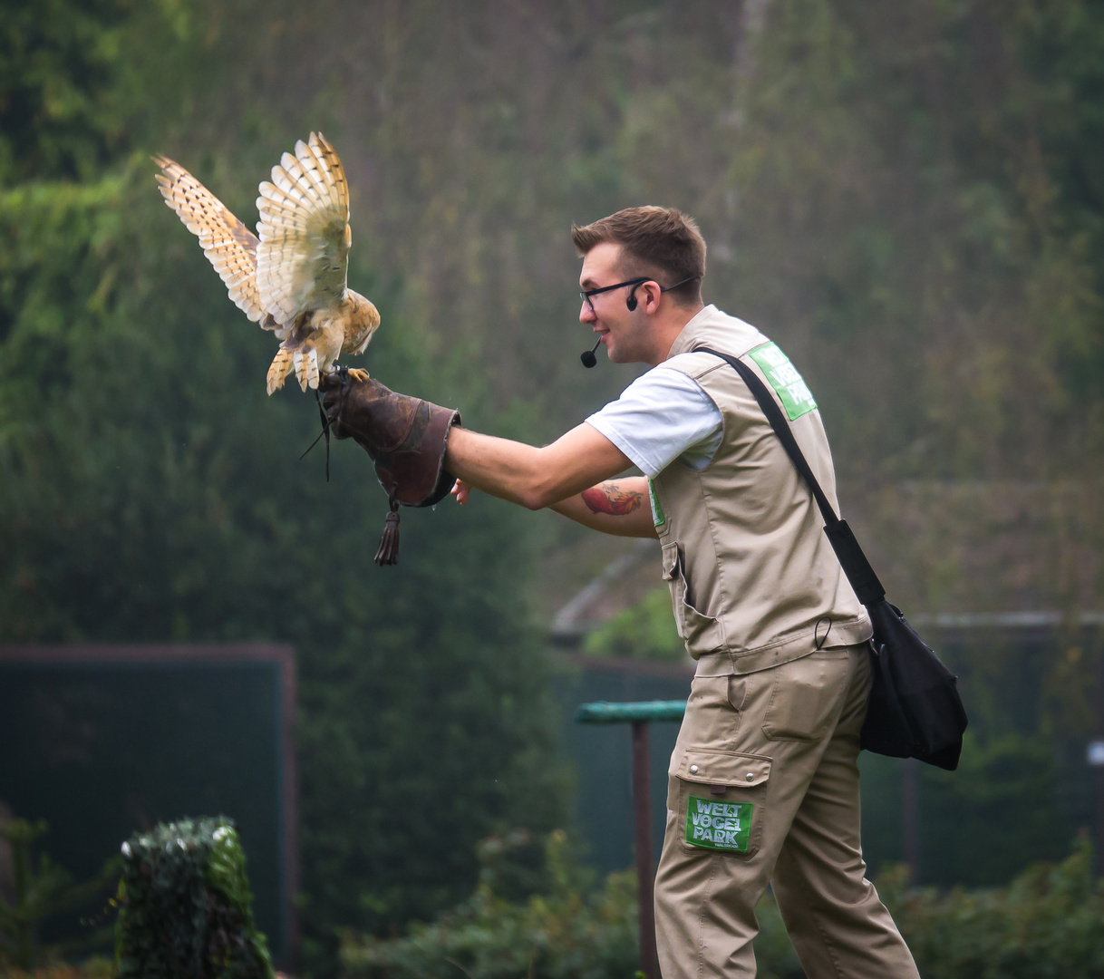 Flugshow Vogelpark Walsrode