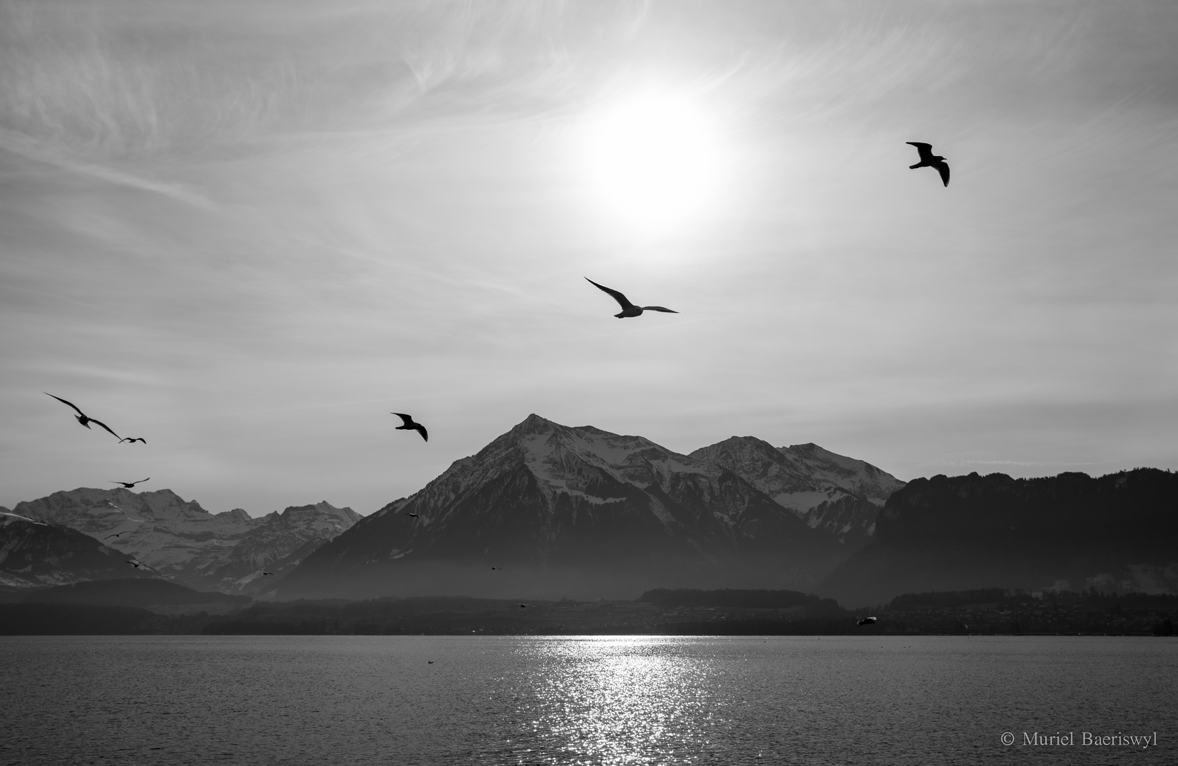 Flugshow vor dem Niesen