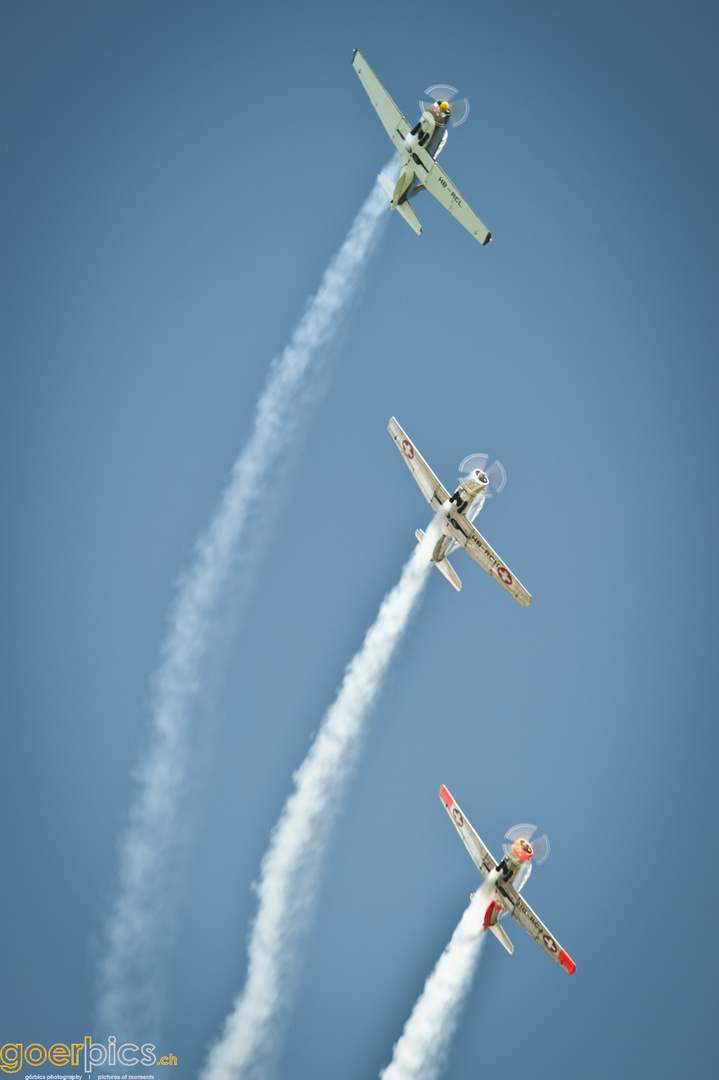 Flugshow Widnau/SG 22.08.2010 (7)