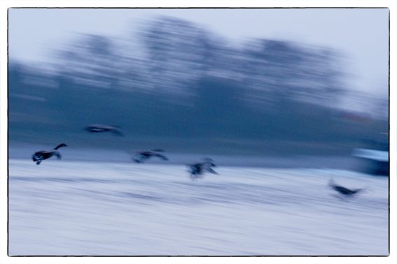 Flugspiele auf dem Rhein