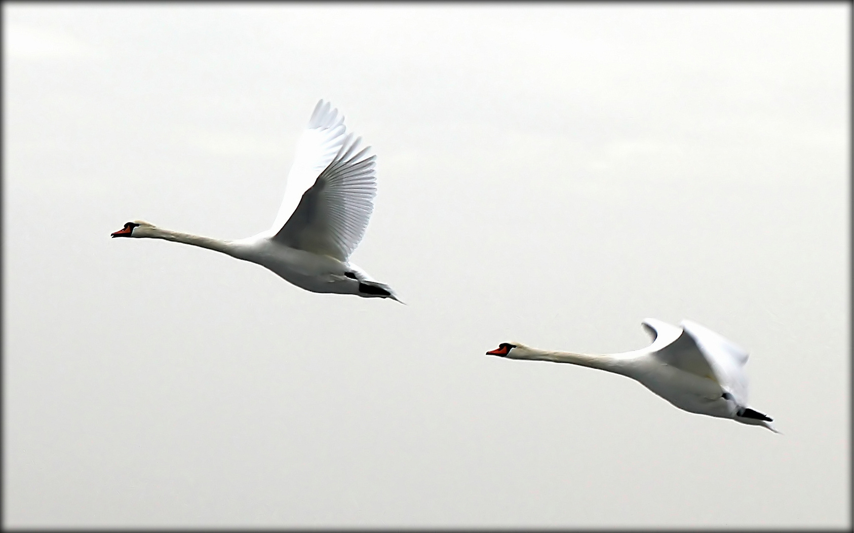 Flugstaffel ...