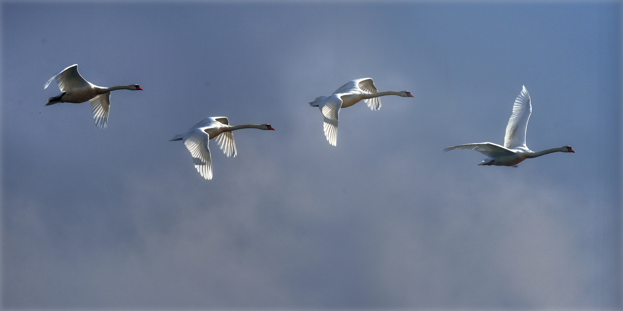 Flugstaffel ...