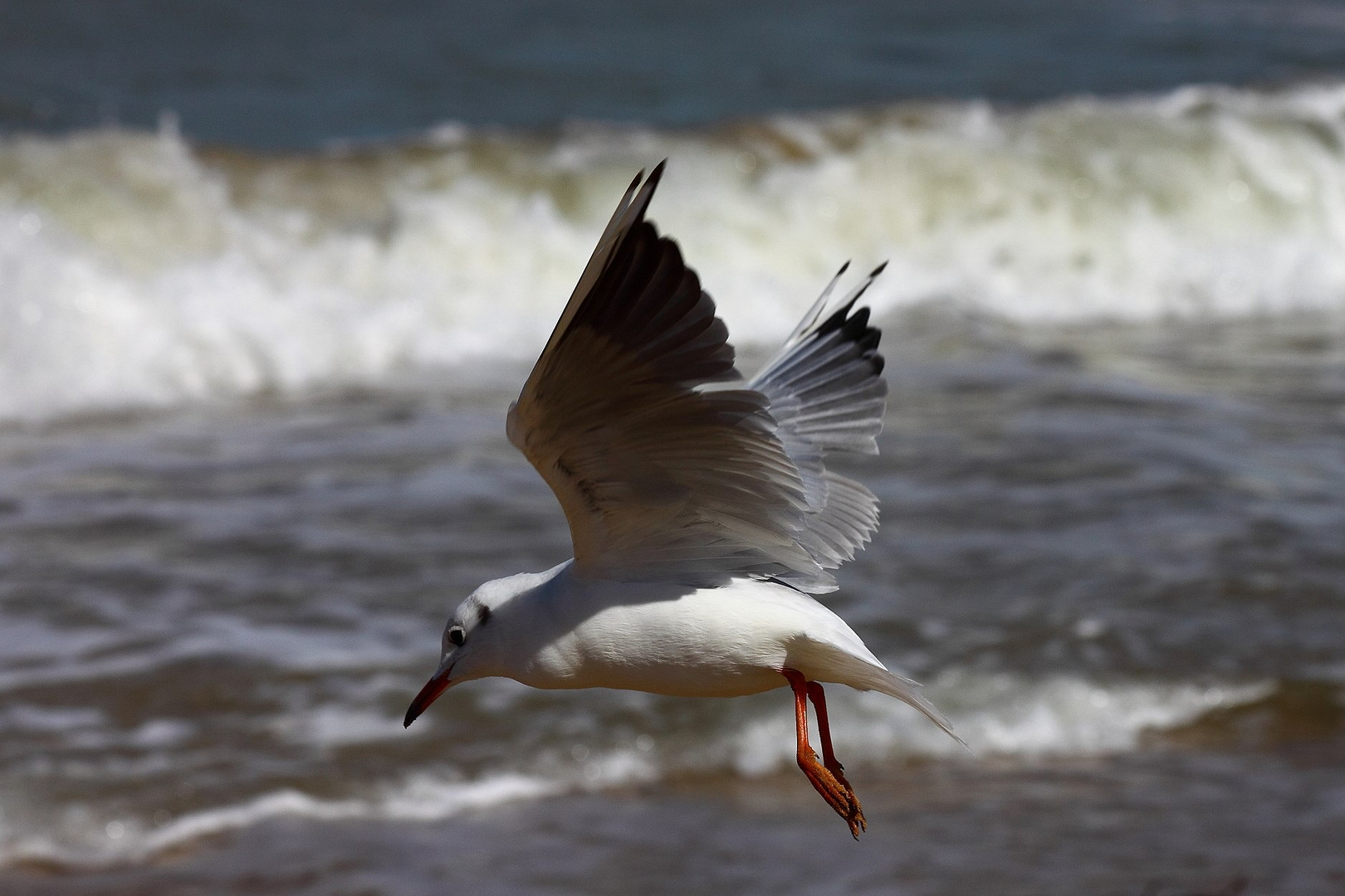 Flugstudie