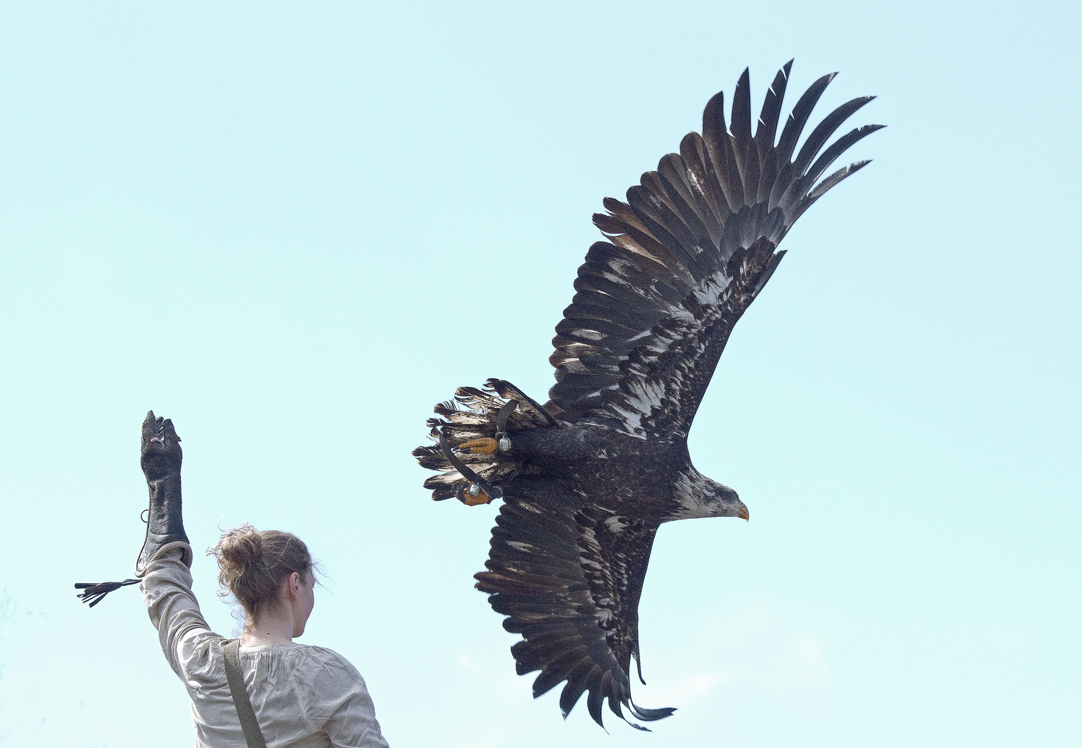 FLUGSTUDIE MIT VICTORIA