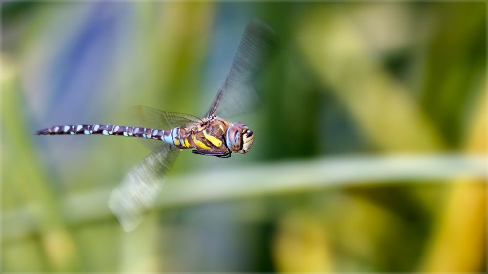 Flugstunde