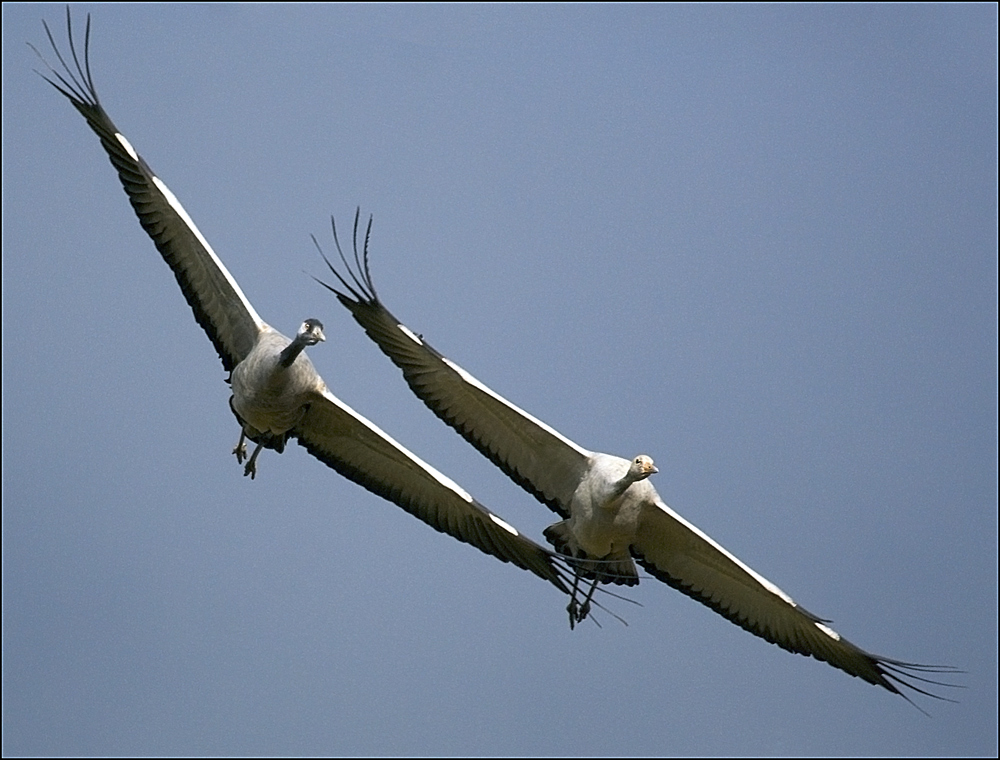 Flugstunde