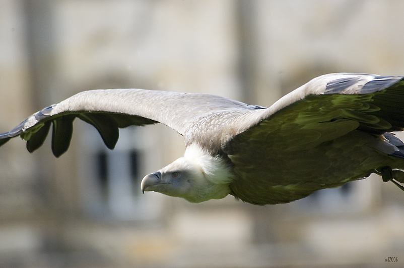 Flugstunde