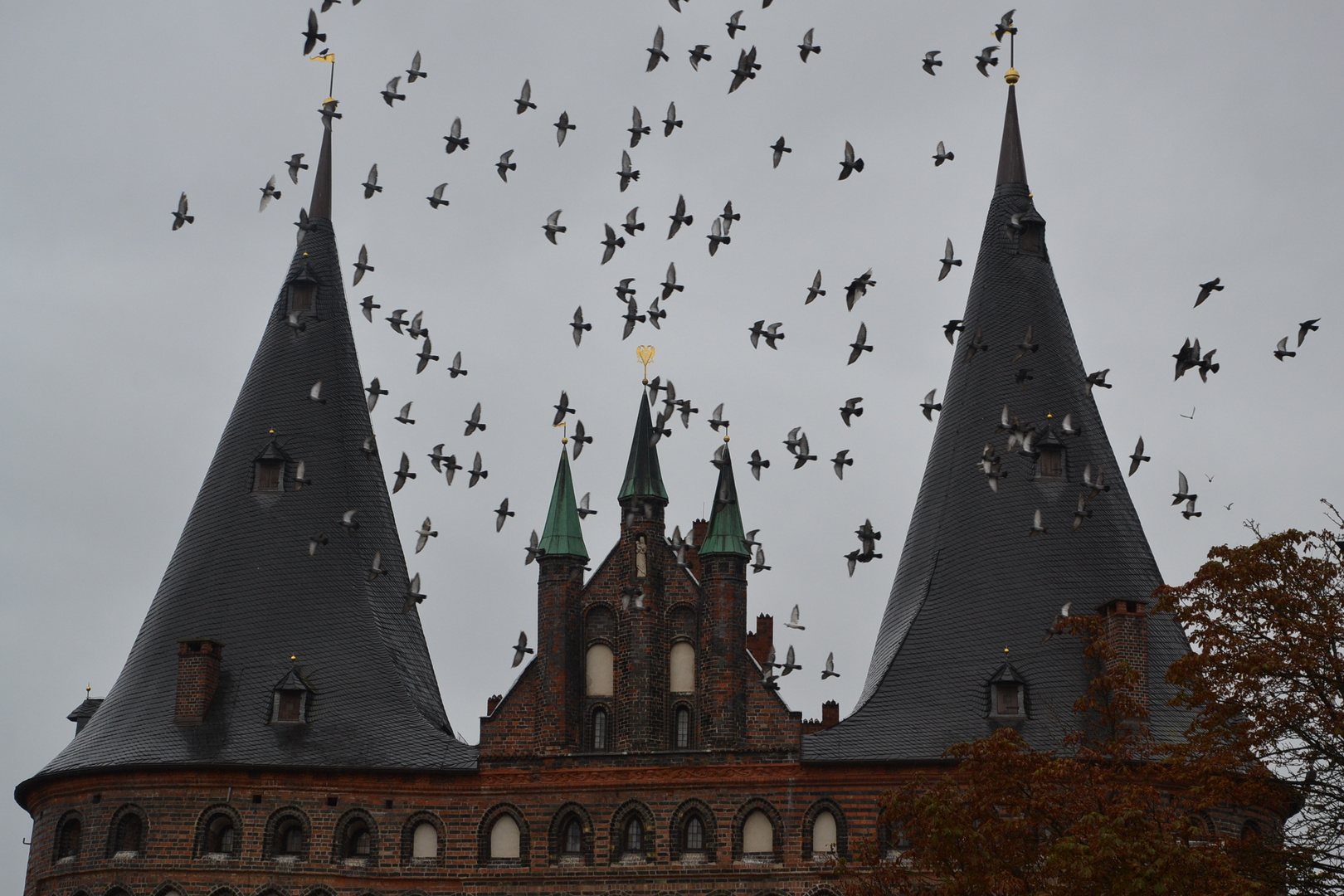 Flugstunde am Holstentor