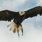 FLUGSTUNDE auf der Ronneburg