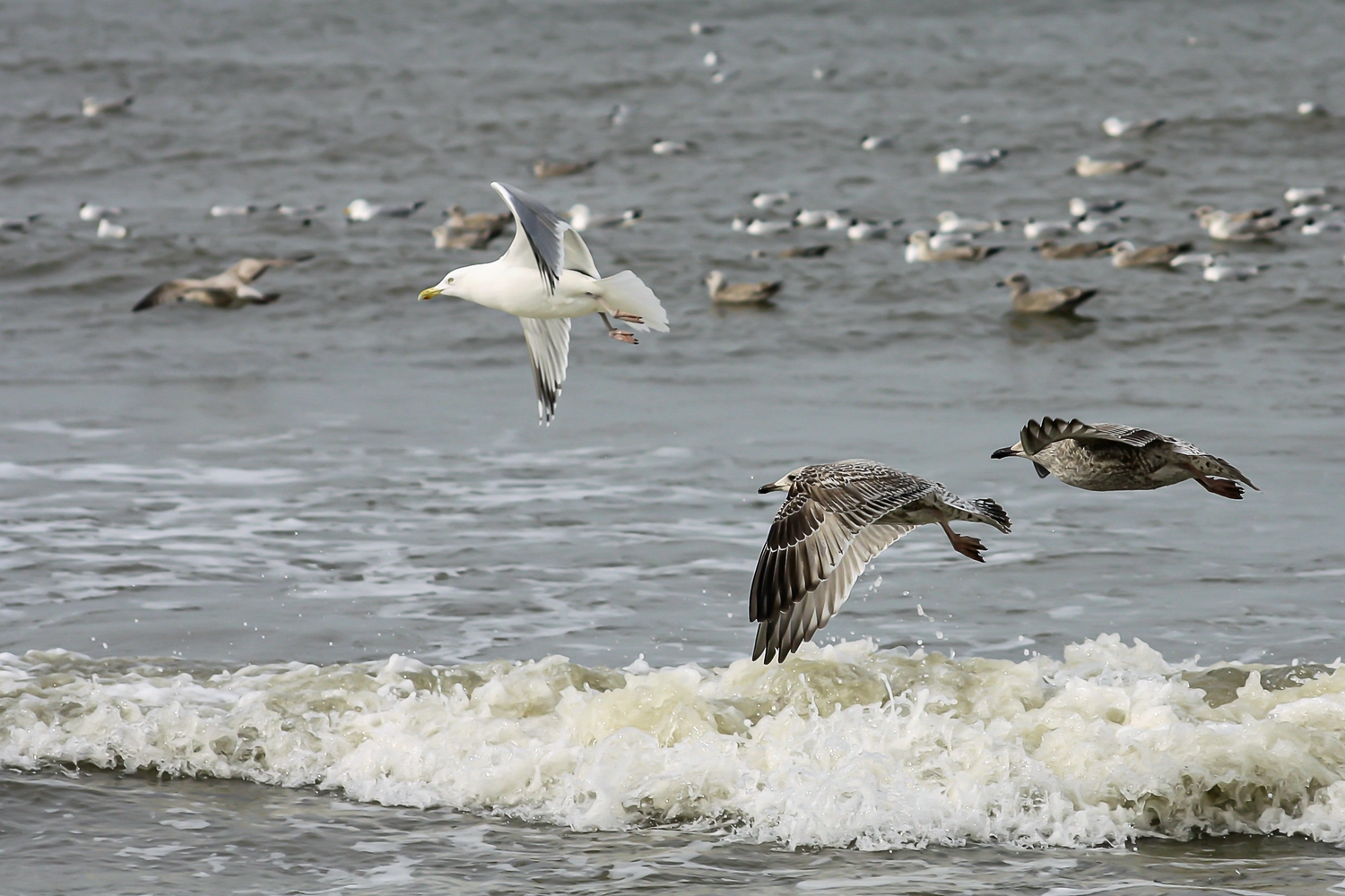 Flugstunde