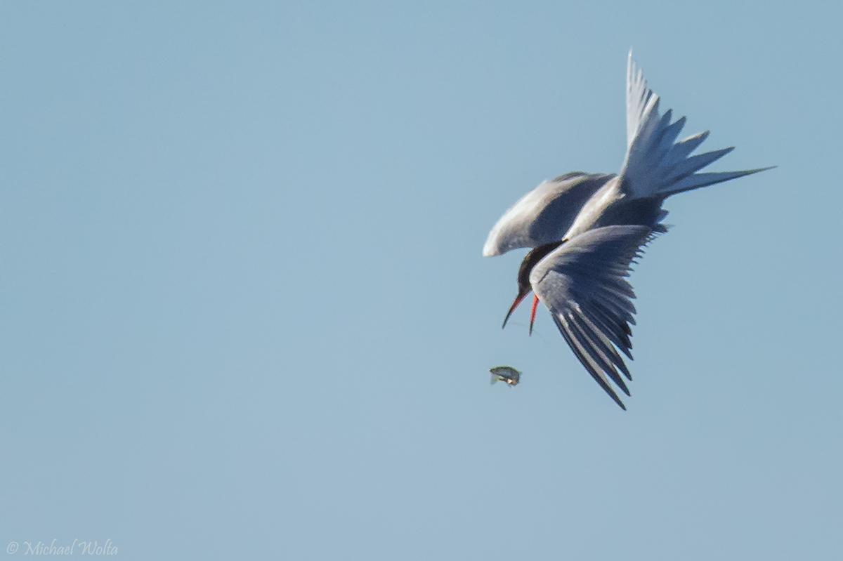 Flugstunde