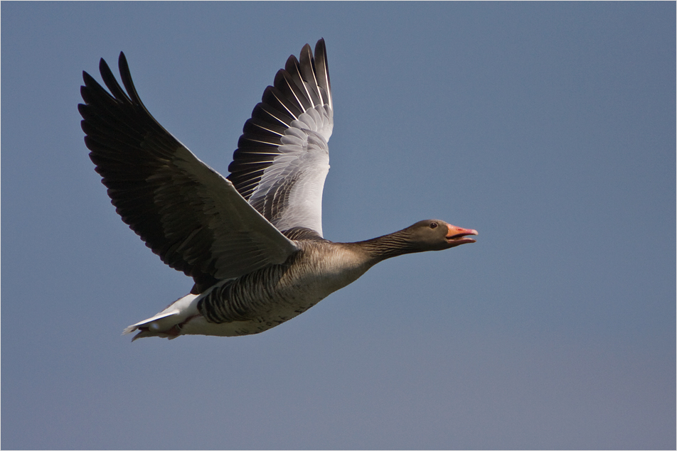 Flugstunde II